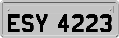 ESY4223