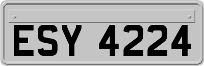 ESY4224