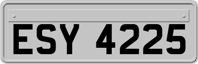 ESY4225