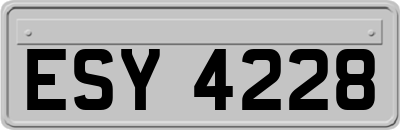 ESY4228