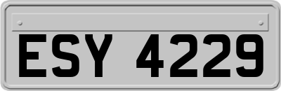 ESY4229