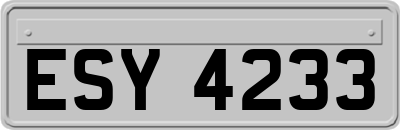 ESY4233