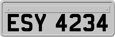 ESY4234