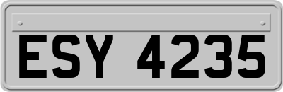 ESY4235