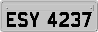 ESY4237