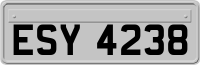 ESY4238
