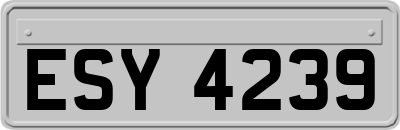 ESY4239