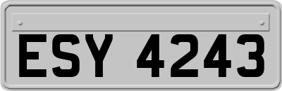 ESY4243