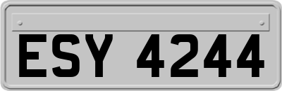 ESY4244