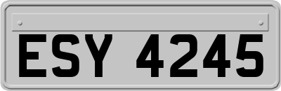 ESY4245