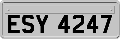 ESY4247