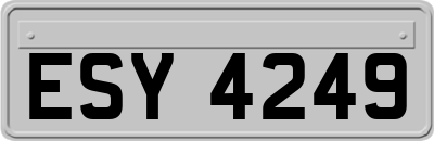 ESY4249