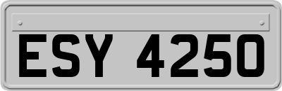 ESY4250