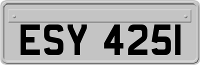 ESY4251