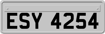 ESY4254