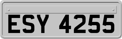 ESY4255