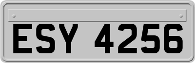 ESY4256