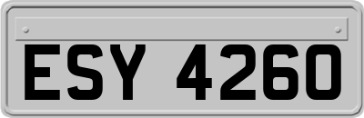 ESY4260