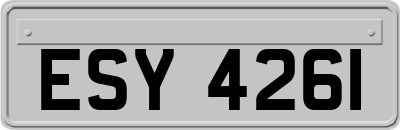 ESY4261