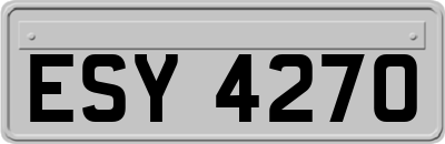 ESY4270