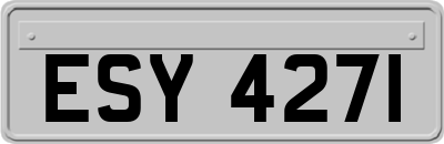 ESY4271