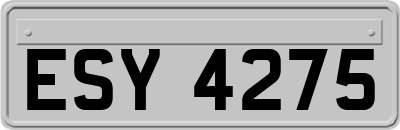ESY4275