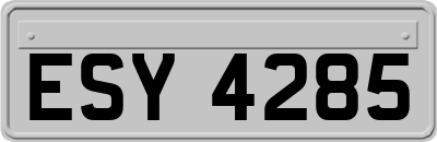 ESY4285