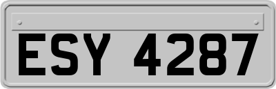 ESY4287