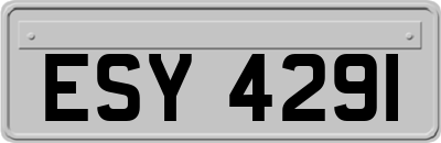 ESY4291