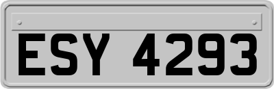 ESY4293