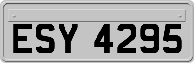 ESY4295