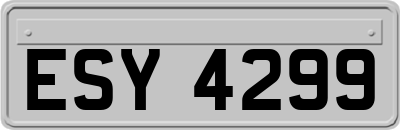 ESY4299