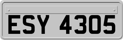 ESY4305