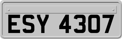 ESY4307