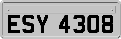 ESY4308