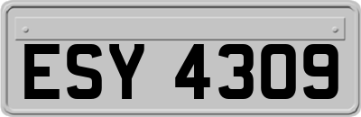 ESY4309