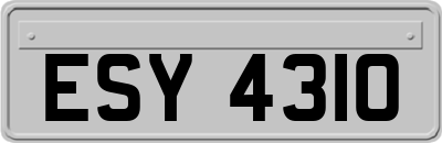 ESY4310