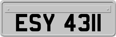 ESY4311