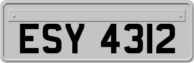 ESY4312