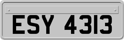 ESY4313
