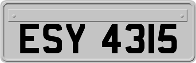 ESY4315