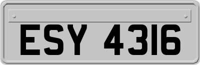 ESY4316