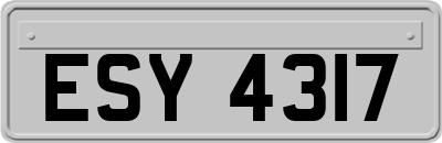 ESY4317