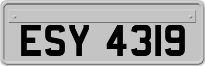 ESY4319