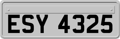 ESY4325