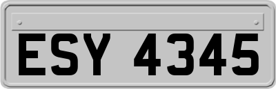 ESY4345