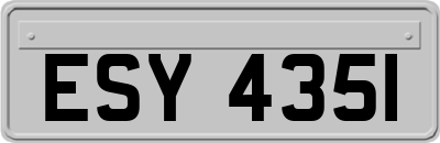 ESY4351