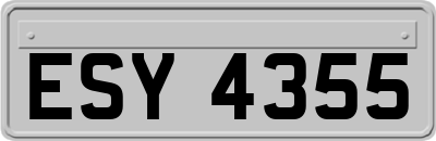 ESY4355