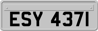 ESY4371