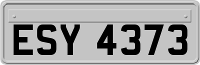 ESY4373